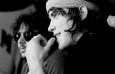 mgmt - Fotos