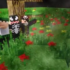 Minecraft Songs