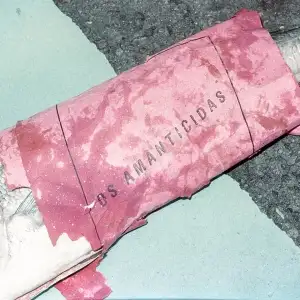Os Amanticidas